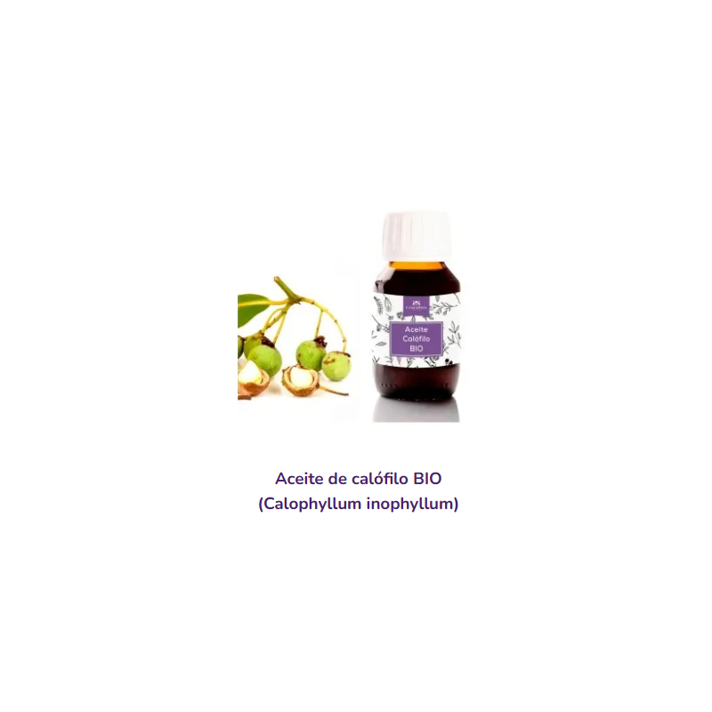 Aceite de Calofilo