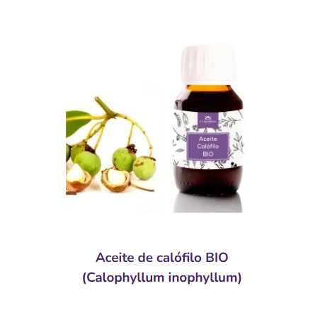 Aceite de Calofilo