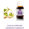 Aceite de Calofilo